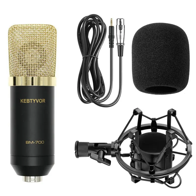BM-700  Professional Uni-directional Condenser Studio Sound Recording Microphone with Shock Mount and Anti-wind Foam Cap