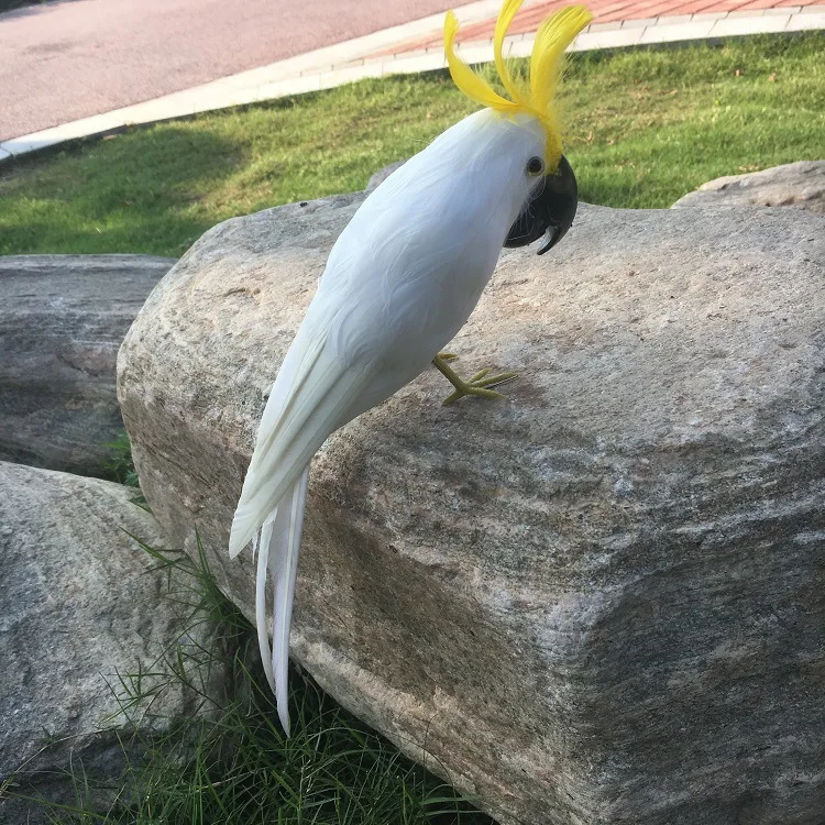 about 30cm simulation Cockatoo parrot model toy ,plastic foam&feathers white Cockatoo Bird model ,home decoration gift w5620