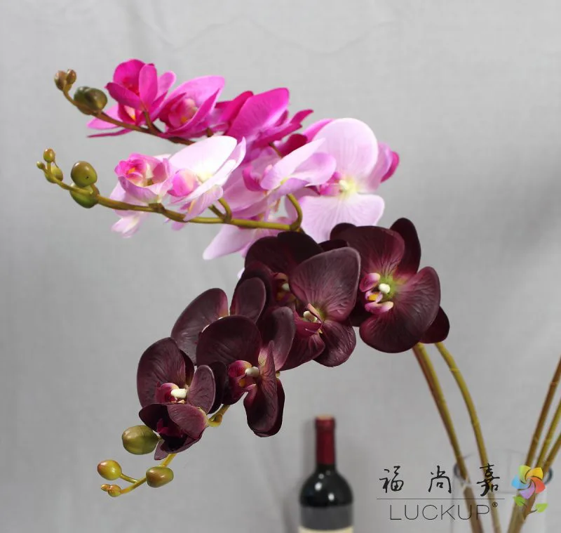 1 Stem Real Touch Latex Artificial Moth Orchid Butterfly Orchid Flower for new House Home Wedding Festival Decoration F472