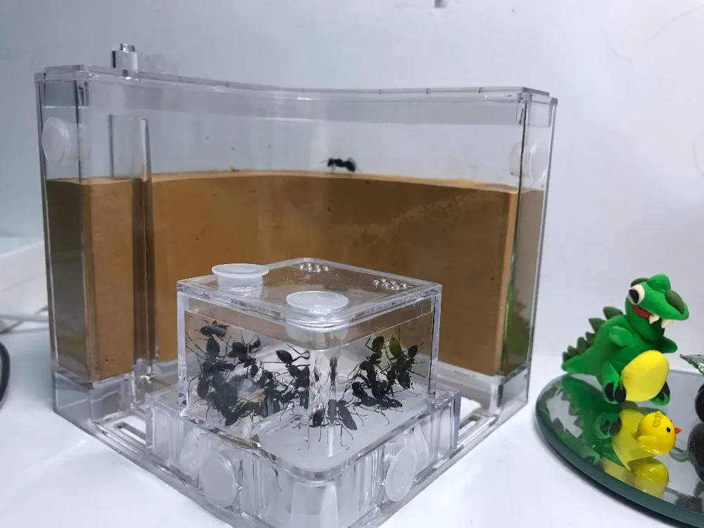 New Transparent Ant House Fill Clay Sand Ants Farm Insect Nest Ecology Mania Home Habitat Professional Castle Maze Ant Villa