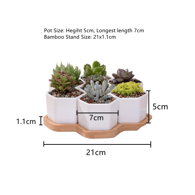 Planter Pots Indoor, 7 Pack Modern White Ceramic Small Hex Succulent Cactus Flower Plant Pot with Bamboo Tray Home Garden Decor