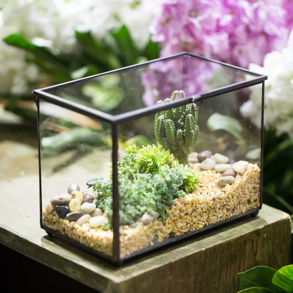 NCYP Rectangle Clear Glass Geometric Terrarium Box Indoor Tabletop Micro Landscape Succulents Fern Moss Plant Flower Pot Planter