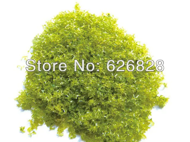 tree powder tree foliage sponge with tree foliage Center hole sponge H604