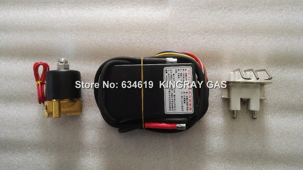 220-240V Gas Ignition Control Unit With Sparking Ignitor&Solenoid Valve, Pulse Black Box Auto Gas Lighter Module For Oven