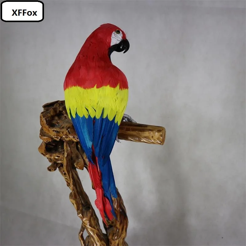 

big simulation turned parrot model foam&furs real life red-yellow-blue parrot bird doll gift about 60cm xf1150