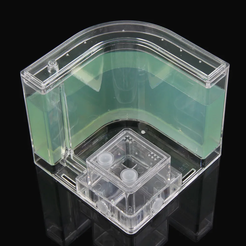 1PCS 3D Insect Acrylic For Ant Farm Observed Expansion Maze House Educational Decor Accessories Look into World Bug Box Ornament