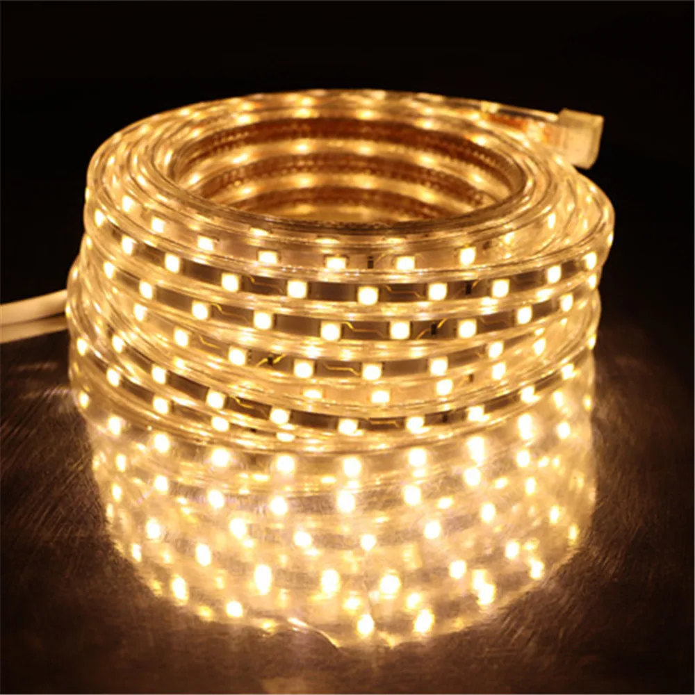 SMD 5050 AC220V LED şerit esnek ışık 60leds/m su geçirmez Led bant LED ışık ile priz 1M 2M 3m 5M 6M 8M 9M 10M 15M 20M
