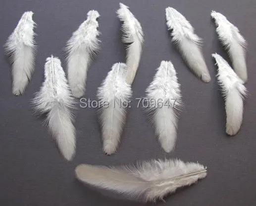 500Pcs/Lot! 5-8CM Natural White Soft Hackle Hen Feathers,Small Craft Plumes For Jewelry Making,Hats,Christmas Decoration