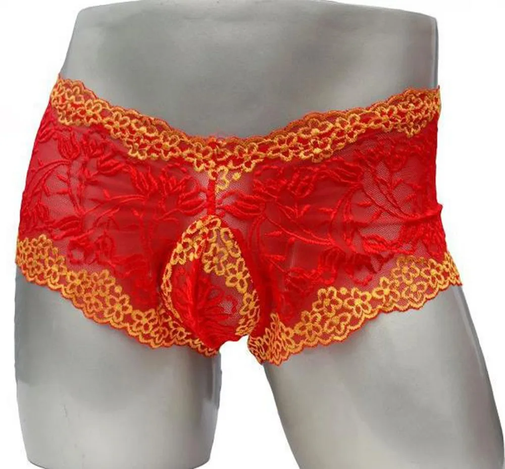 Sissy Gay Panties Lace Men Underwear Sexy Transparent Big Boxer ZJH884P