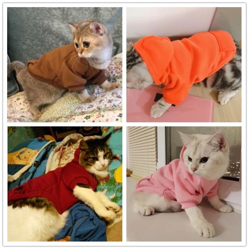 Sıcak evcil hayvan giysileri kediler giyim sonbahar kış giyim kediler için ceket yavru kıyafet kediler giysileri kedi Hoodies mascotas 8Y45