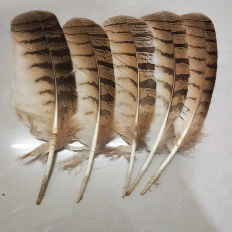 

Free shipping wholesale high quality 50pcs owl eagle feather 10-12inches/25-30cm various decorative diy collect