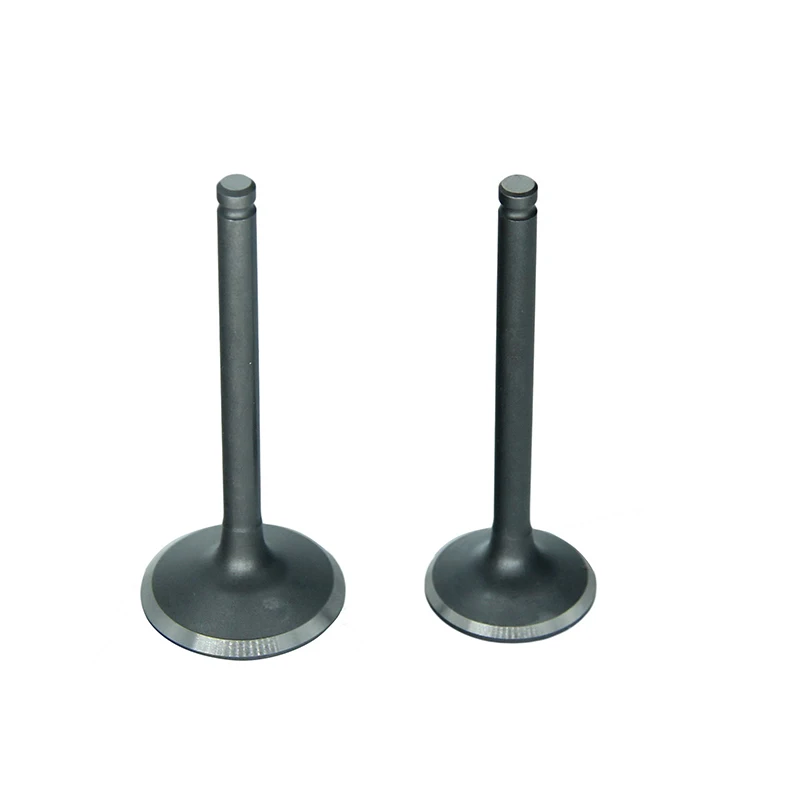 Motorcycle Intake Valve and Exhaust Valves Set Fit For Lifan 125cc 140cc 150cc Motocross ATV Quad Bike GT-112