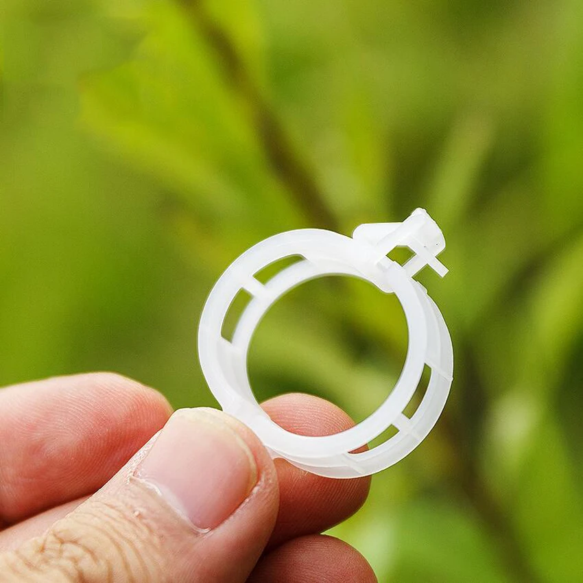 10ピース/セット新品質耐久性のあるプラスチック植物クリップファスナー植物ブドウトマト野菜ガーデンツール