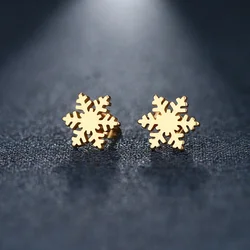 CACANA Stainless Steel Stud Earring For Women Man Snow  Silver Color Lover's Engagement Jewelry Drop Shipping