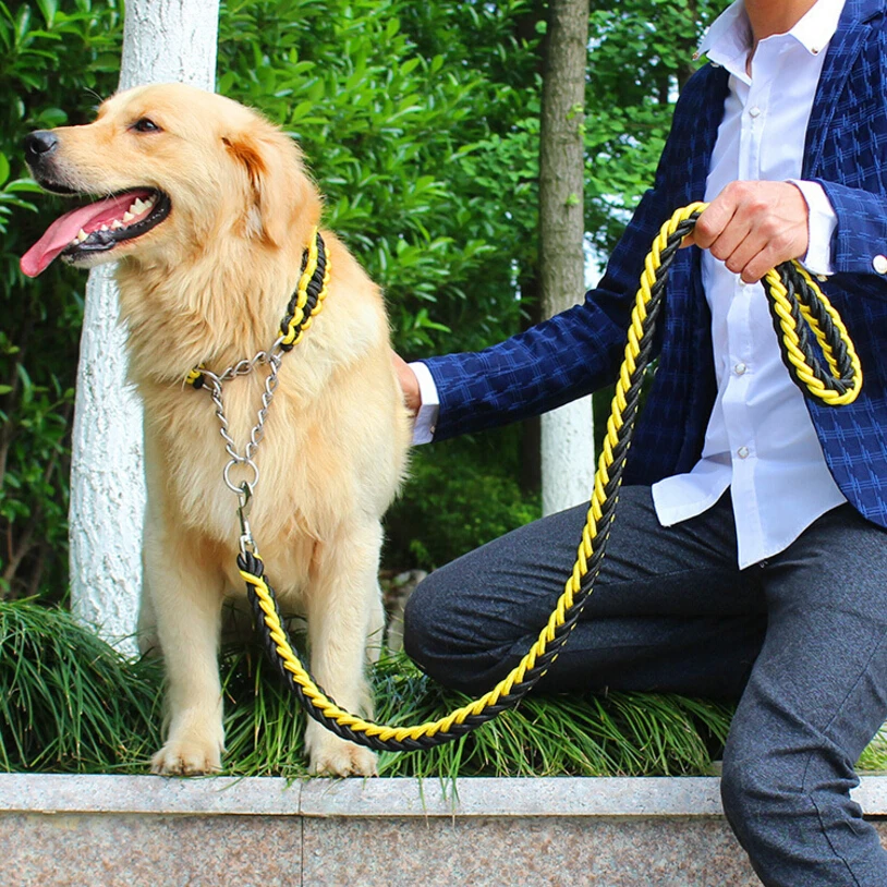 Double Strand Rope Large Dog Leashes Metal P Chain Buckle Contrast Colorful Pet Traction Rope Collar Set Firm 1.2m Length