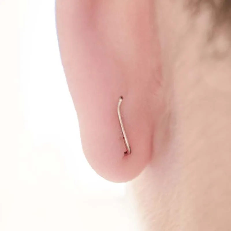 1 Pair Fashion Women\'s Leaves Crawler Ear Studs Leaf Vines Sweep Pin Earrings