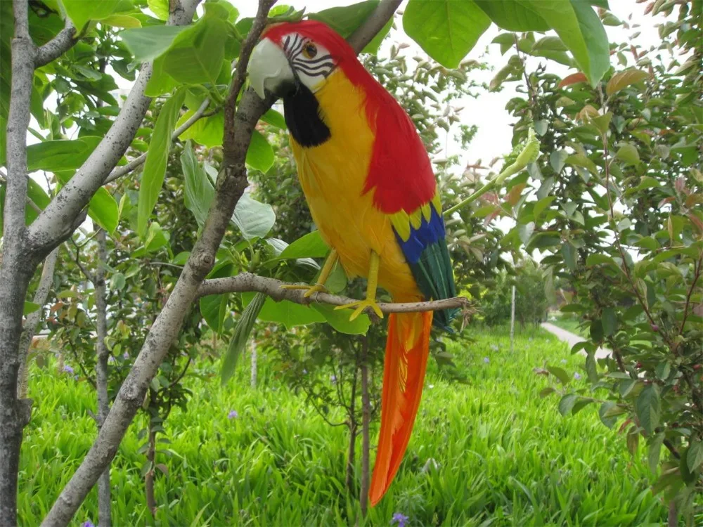 

large 40cm yellow&red coloured feathers parrot model polyethylene&feathers pastoral handicraft,home decoration gift a1993