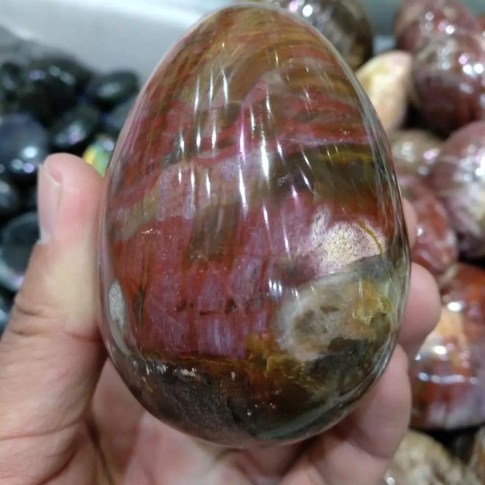 200-300g NATURAL PETRIFIED WOOD STONE HAND CARVED EGG