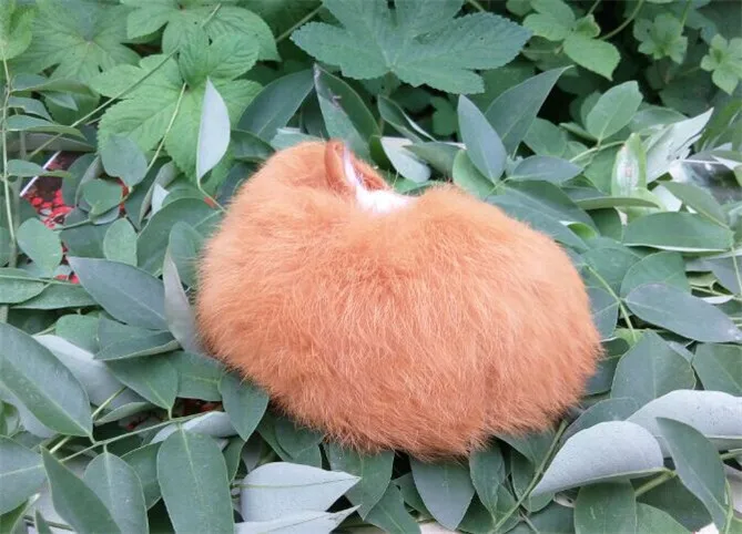 Cute Realistic Sleeping Fox Real Fur Furry Animal Interior Ornament Animal Plush Preschool Education Baby Toys Kids Birthday