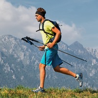 Naturehike Carbon Fiber 4 Section Ultralight Trekking Poles Tungsten Steel Walking Stick Trail Running Hiking Alpenstock