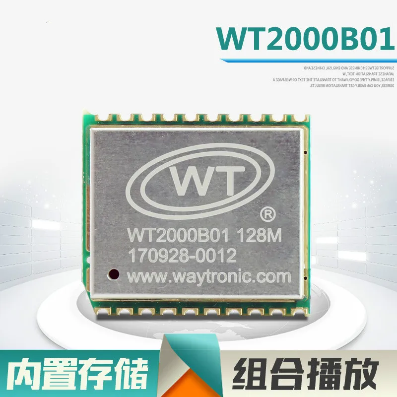 WT2000B01 High Quality MP3 Chip with Plug-in Function U-disk Copy Built-in Memory Speech Module IC