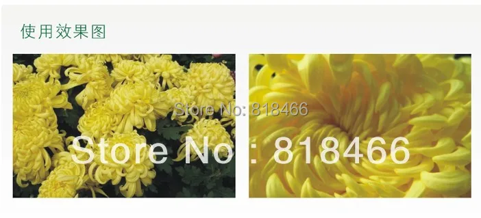 5 pçs/lote 52mm lente reversa macro adaptador anel para canon eos ef montagem 550d 650d 60d