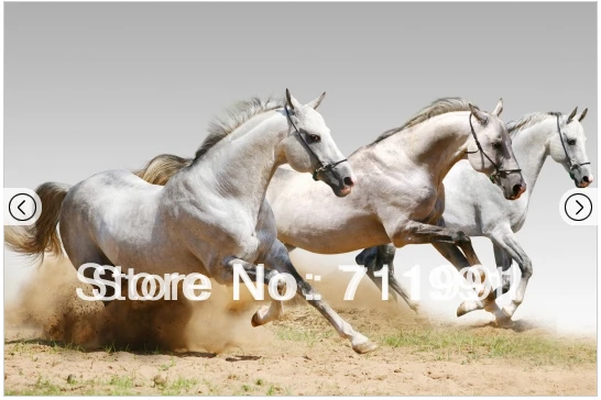 Free shipping Horse Wall Murals Wallpaper Wallpaper