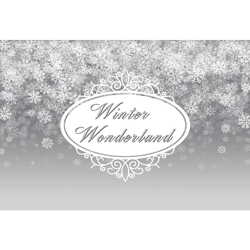 

Grey Color Winter Wonderland Backdrop Vinyl Printed 3D White Snowflakes Newborn Baby Shower Props Kids Photo Studio Backgrounds