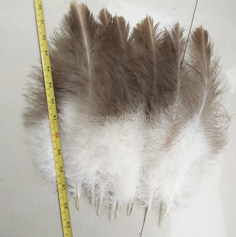 10 pieces / lot of beautiful natural hawk feathers 30-35 cm / 12-14 inches beautiful feathers