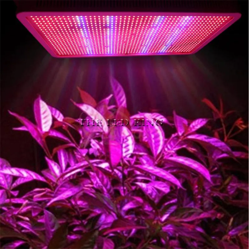 

2019 Newest 600W 1000W 1200W 1600W Grow Light 110V 220V Phyto Lamp Full Spectrum LED Grow Light E27 Led Growing Lamps For Plant