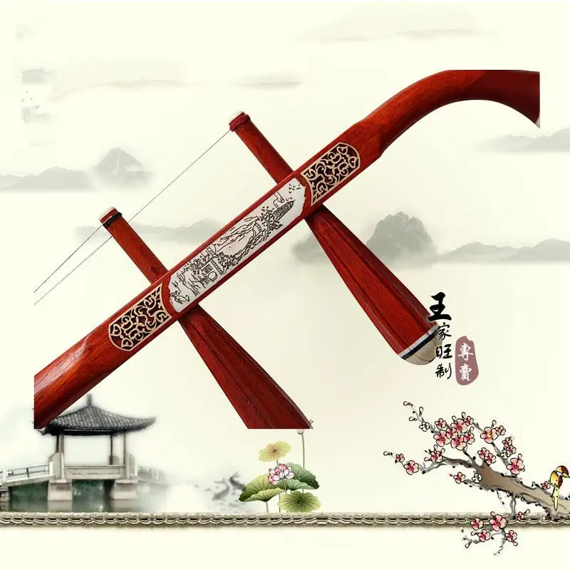 Erhu Chinese Muziekinstrument Palissander Eerheen Met Boog En Hard Case Twee Snaren China Stijl Viool Sturen Stduy Boek