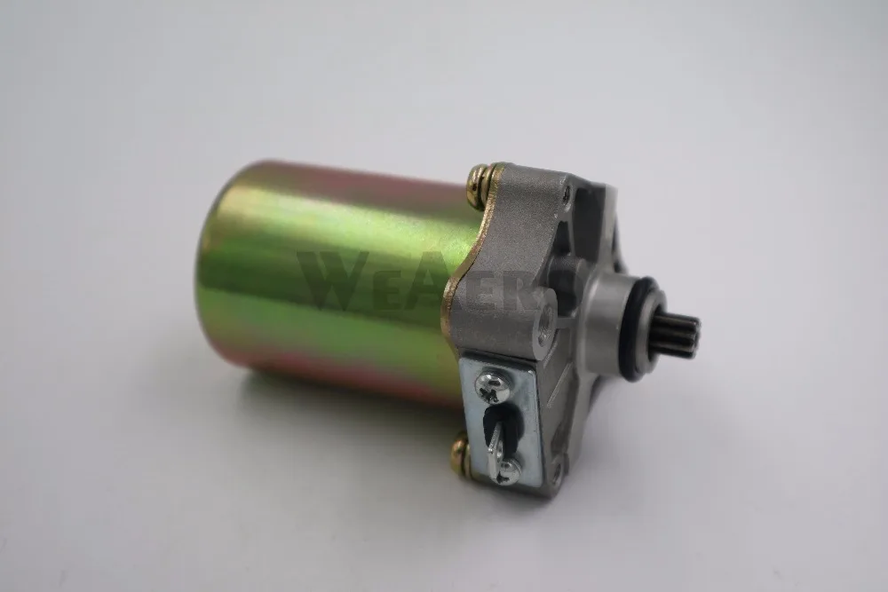 

Electronic starter Motor for DLE200 Gasoline Engine