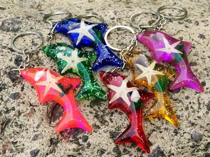 12 pcs Dolphin Style Accessories Magic Starfish Fashion Keychain