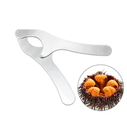 Stainless Steel Sea Urchins Clip Scissors Clamp Food Opener, Hard Chestnut Opener, Tang Sea Food Cutting, Christmas Knife Gadget