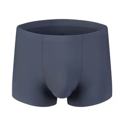 1 PCS/LOT Sexy Men Male Underwear Men's Boxer Underwear Comfortable Panties Nylon Man Underwear Boxer Underpants FX019