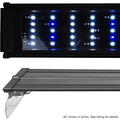 Beamswork DA 0.50W Series LED Pent Aquarium Light Marine FOWLR Cichlid