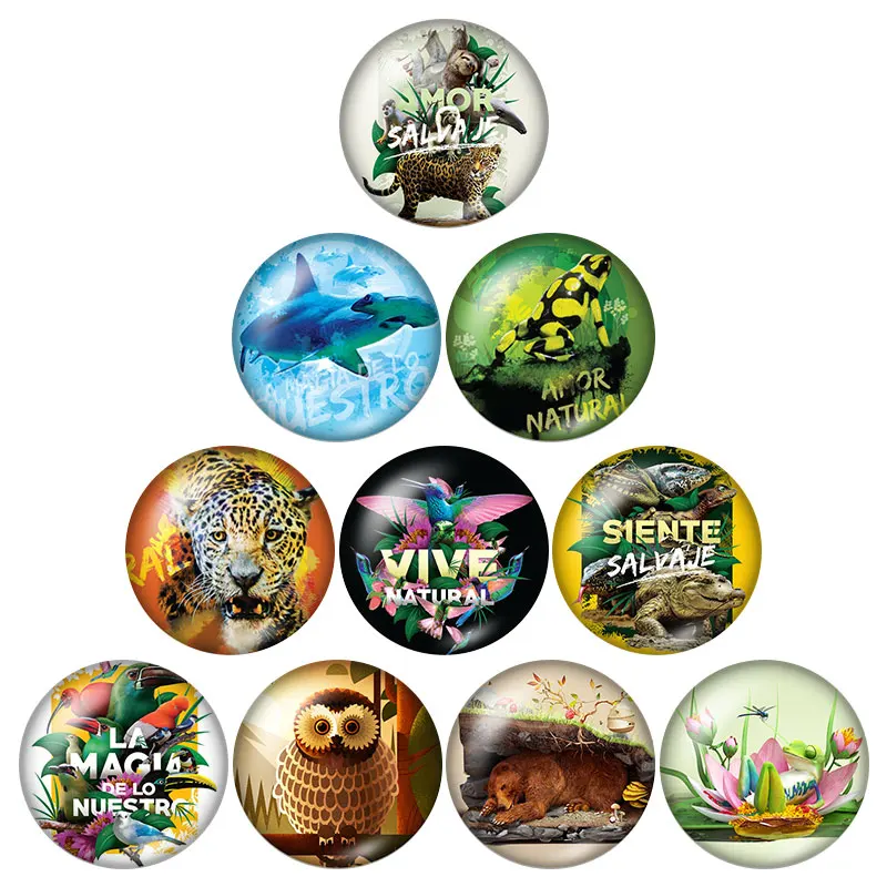 New Forest wild beast Animals 10pcs mixed 12mm/16mm/18mm/25mm Round photo glass cabochon demo flat back Making findings ZB0634