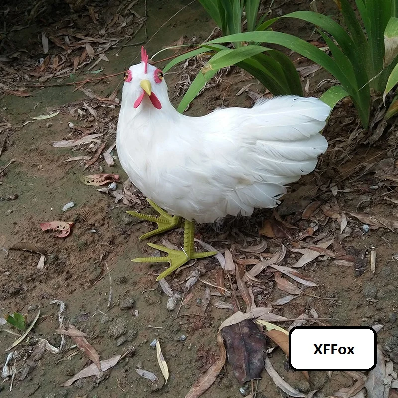 cute simulation chicken model foam&furs real life white chicken gift about 23x22cm xf1080