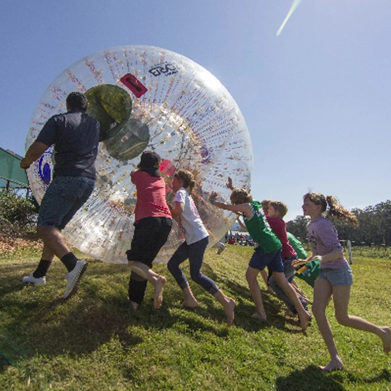 Big Discount Zorb ball  Human Hamster Giant Transparent Adult Inflatable Zorb Ball / Body Zorb Ball For Outdoor Grass Game 2.5m