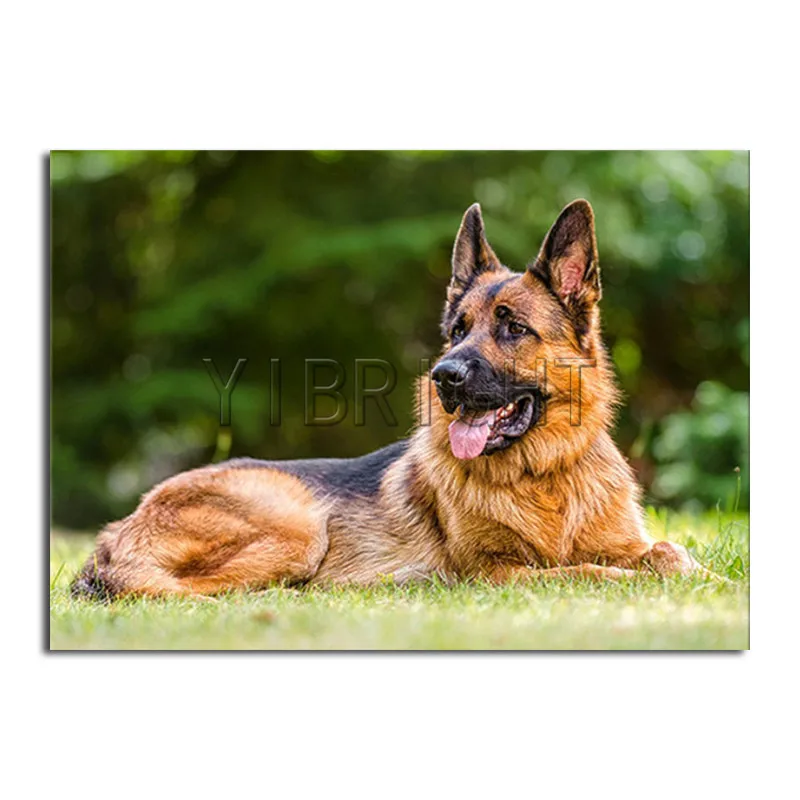 

Full Square Round Diamond Painting Cross Stitch German Shepherd 5d Diy Diamond Embroidery Dog Full Round Diamond Mosaic Animal