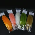 5bright colors