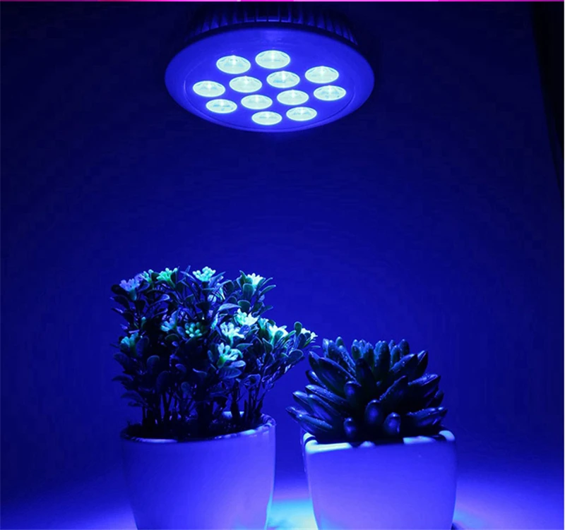 led grow light lamp greenhouse plants tents Phyto-lamp hydroponics houseplants Red blue purple growth bulb meat for flower