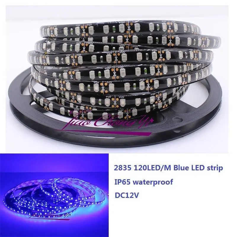 

5M 2835 SMD 600Leds Blue Flexible LED Strip DC12V Black PCB IP65 waterproof