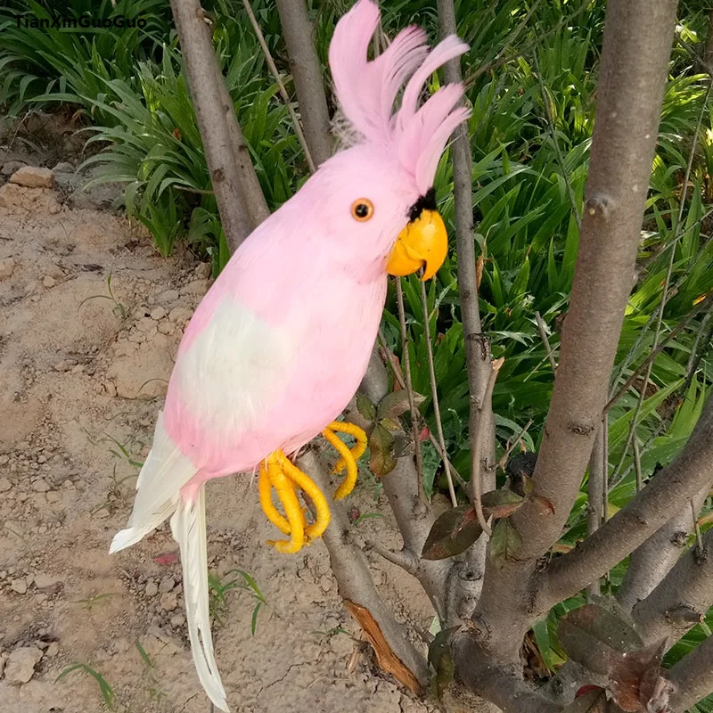 

simulation bird parrot hard model large 42cm white feathers parrot cockatoo prop craft,home garden decoration gift s1166