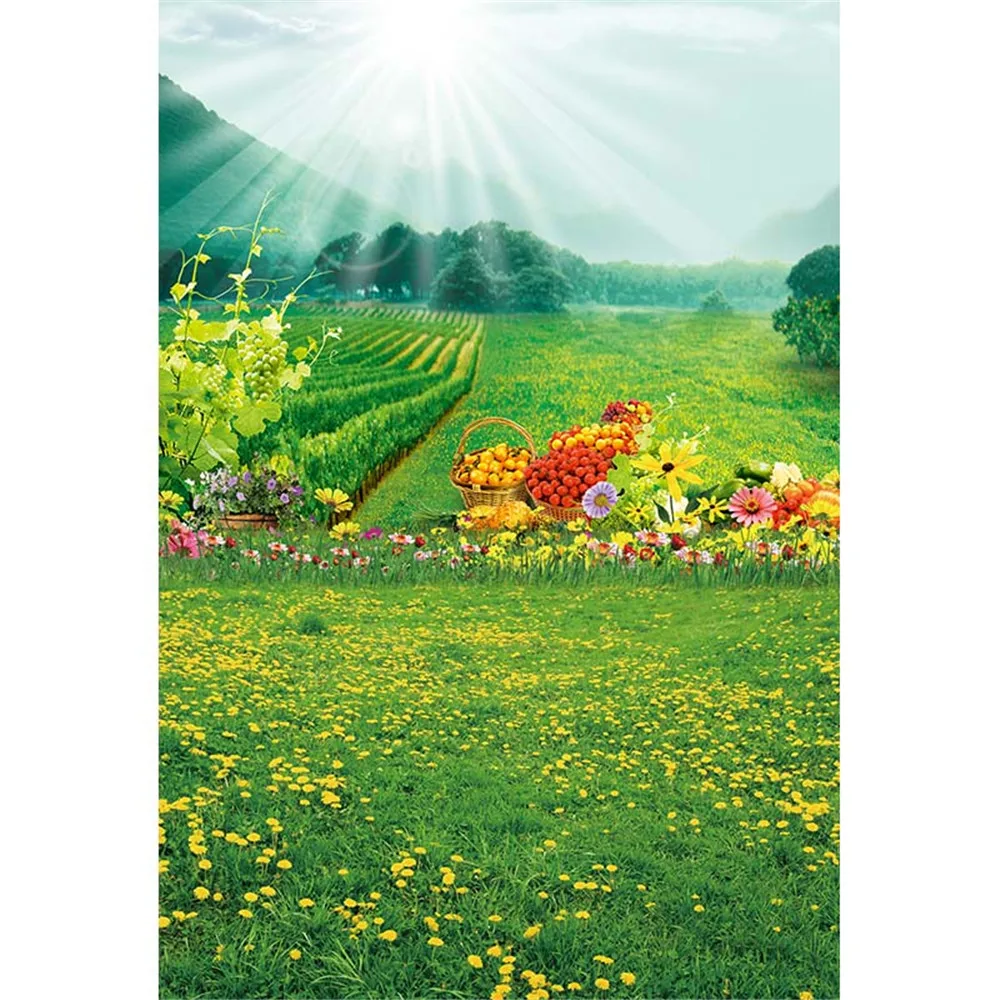 ผลไม้สนามฉากหลังสำหรับการถ่ายภาพโบเก้ซันไชน์พิมพ์ต้นไม้สีเขียวสีเหลืองดอกไม้ชนบทวิวภาพพื้นหลังยิง