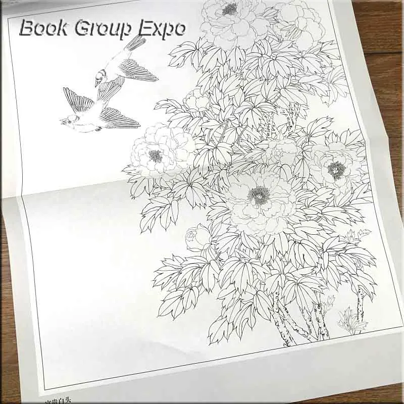 Practical white sketch manuscript painting line drawing bai miao gong bi book for Four Seasons Flowers and Birds