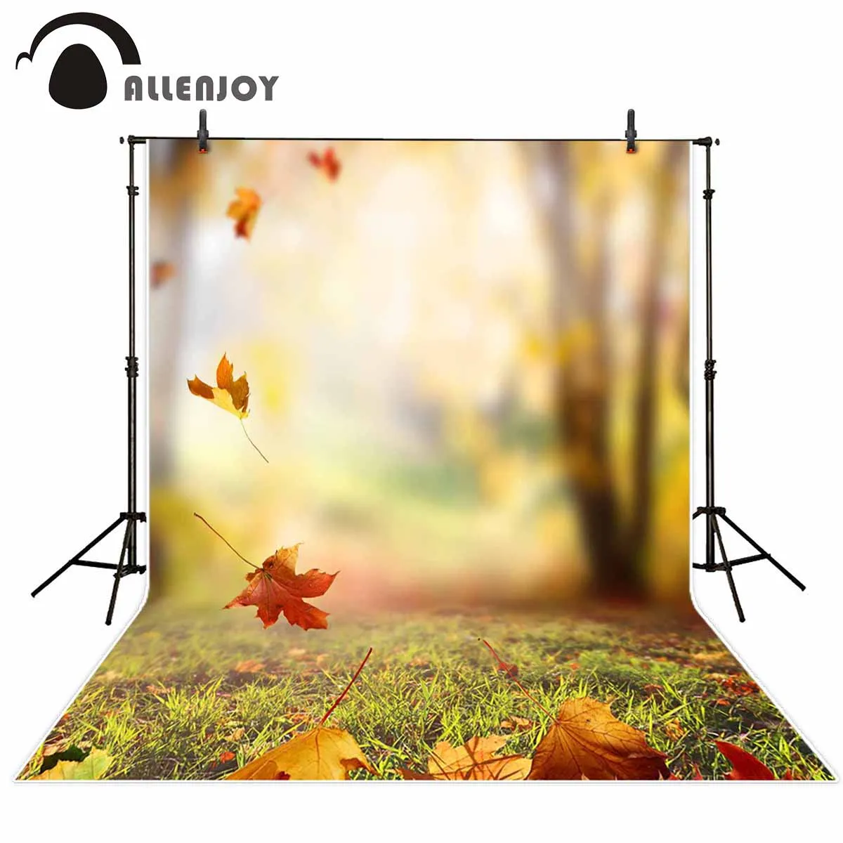 Allenjoy professional photography background Blur bokeh  autumn falling leaves backdrop photo studio Real scene photocall