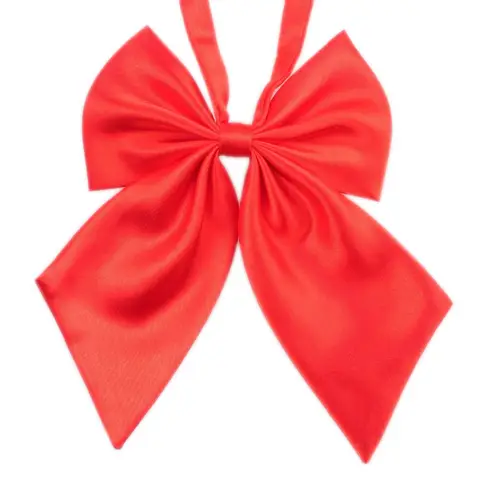 (50pc/lot) Party Holiday Valentine's Day Large Pet Dog Red Bow Ties Neckties Big Dog Lover Grooming Supplies Y101201