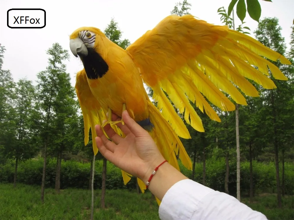 big real life yellow parrot model foam&feather simulation wings parrot bird gift about 45x60cm xf0242