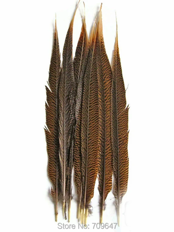 Wholesale Tail Feathers , 10 Pieces -14-16